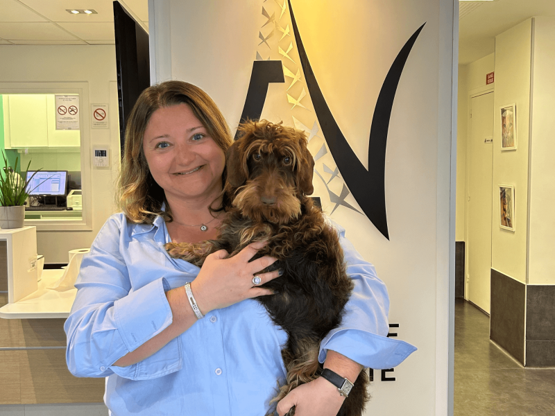 Témoignage d'Aurélia Klajer, vétérinaire spécialisée en cancérologie à Paris - Dicma